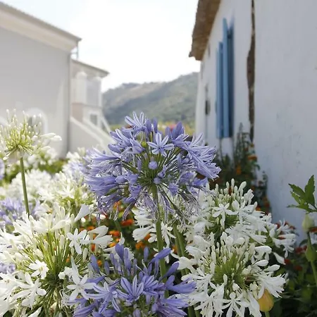 Szálloda Il Borghetto &