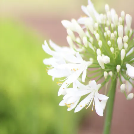Il Borghetto & Hotel