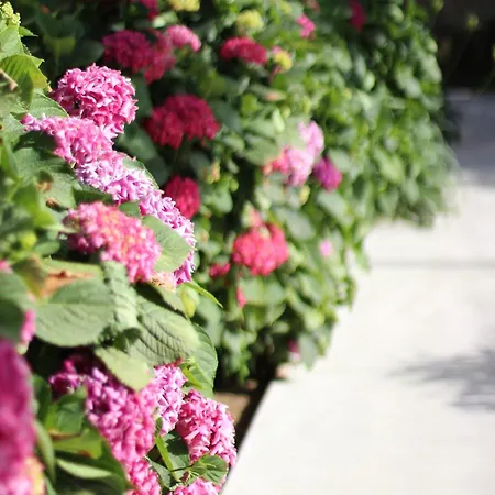 Il Borghetto & Hotel 5*