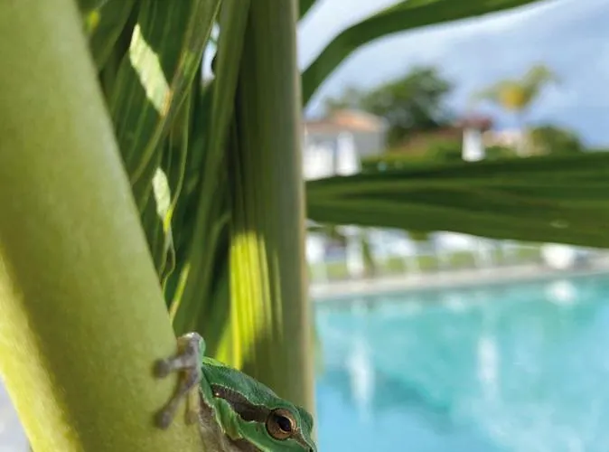 호텔 Il Borghetto & 5*