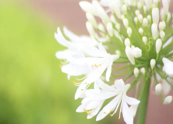 Il Borghetto & 호텔