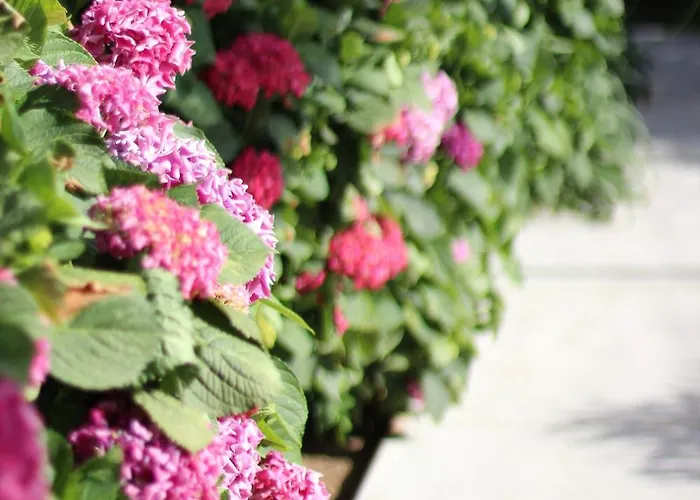 Il Borghetto & 호텔 5*